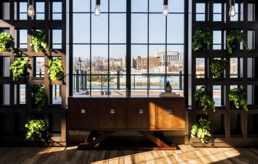 Vermella West Interior - sunlight and window view
